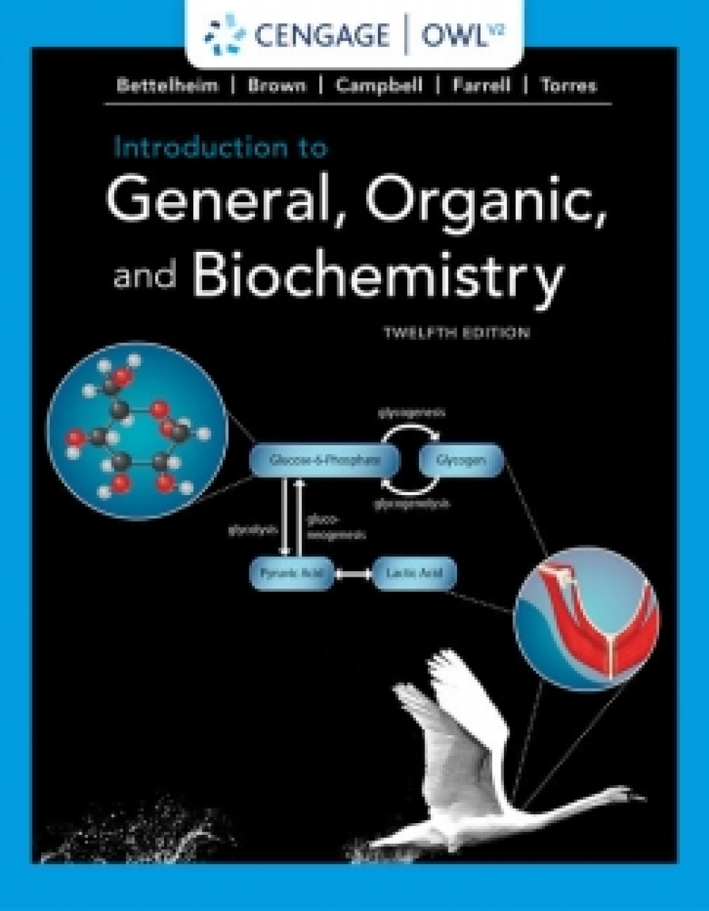 OWLv2 for Bettelheim/Brown/Campbell/Farrell/Torres' Introduction to General, Organic, and Biochemistry, 12th Edition [Instant Access], 1 term 12th Edition â€“ PDF/EPUB Version Downloadable